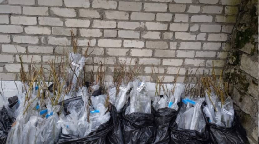 � ����������������� ������ �������� 80 �������� ��� � ����� 80-����� ����������� ����������