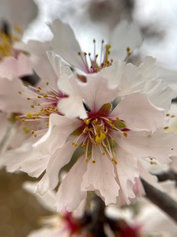 � ������ ����� �����������!