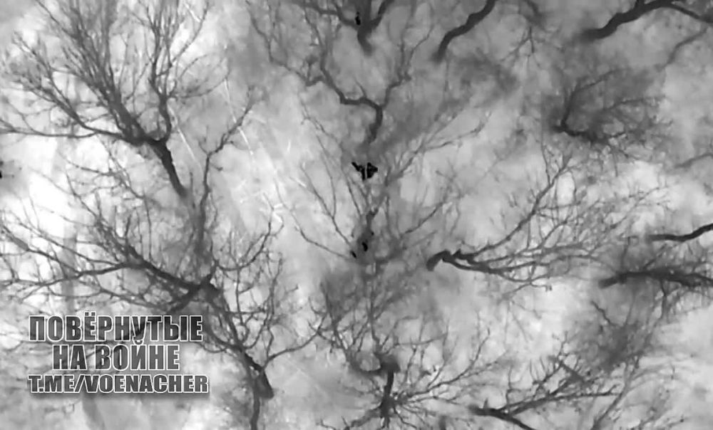 ��������� ���, ���������� ���� ������ �� ����� ���