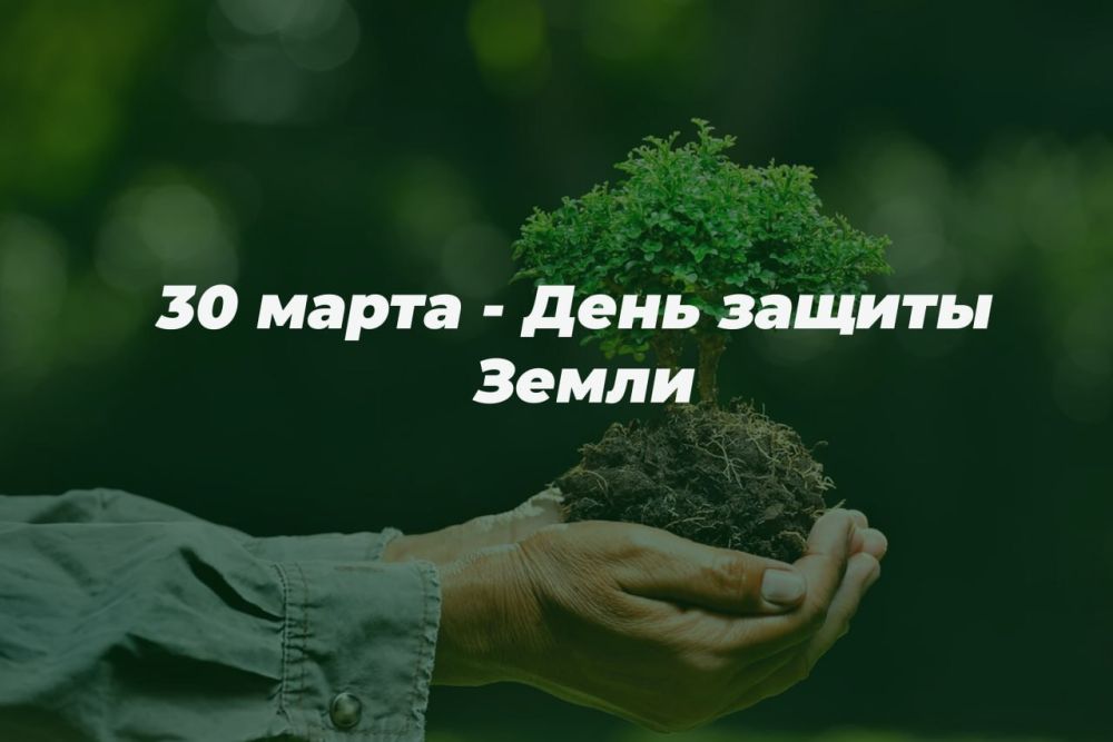 30 ����� � ���� ������ �����