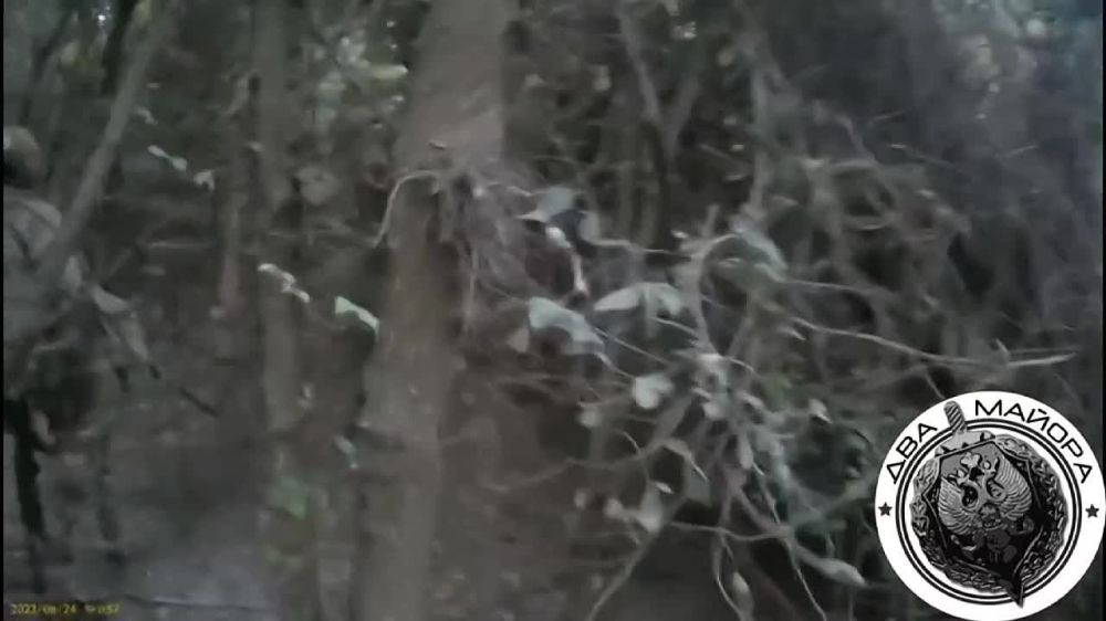 ��� ������: ���������� �����������, ������ 2023, ����� @Razvedka_26St