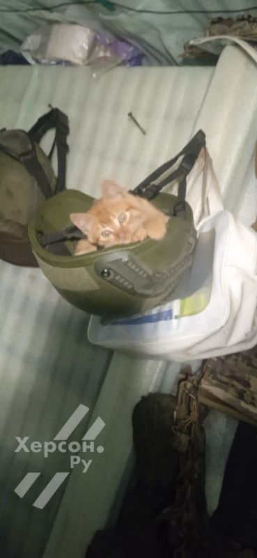 ��� ���������������� ������ ������� �� ������ ����� ������� ���� ����� ������� �����)))���� ����� ,�������, �� ������ �� �������� ����� ����������