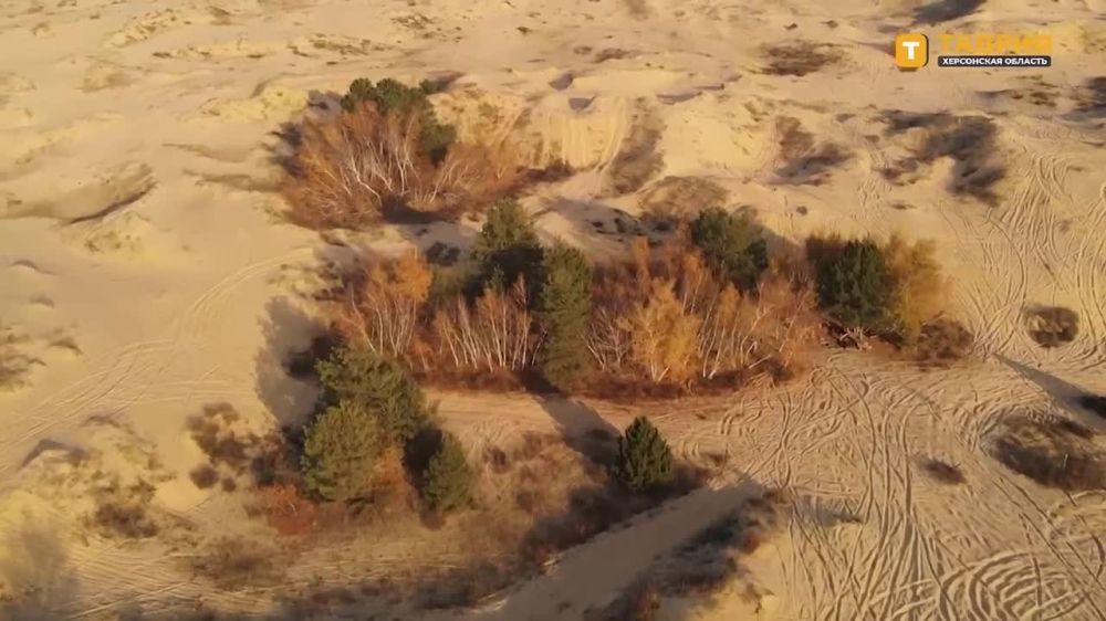 ���������� ������� ������� �������� 80 ��� �� ��� �����������