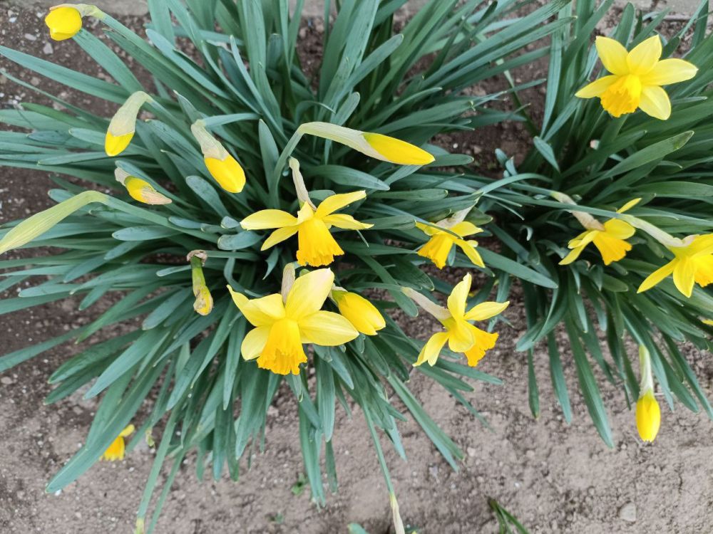 ������� �������� ������� � �����