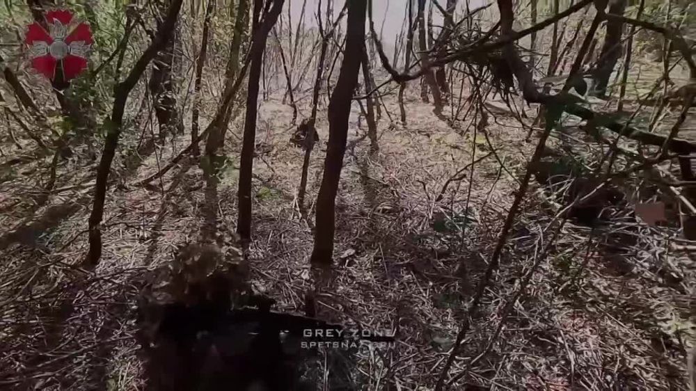 ����� �����: ������ ����� �� ���������������� ����� 10-� ��������� ������� ������������ ���������� ��� ������