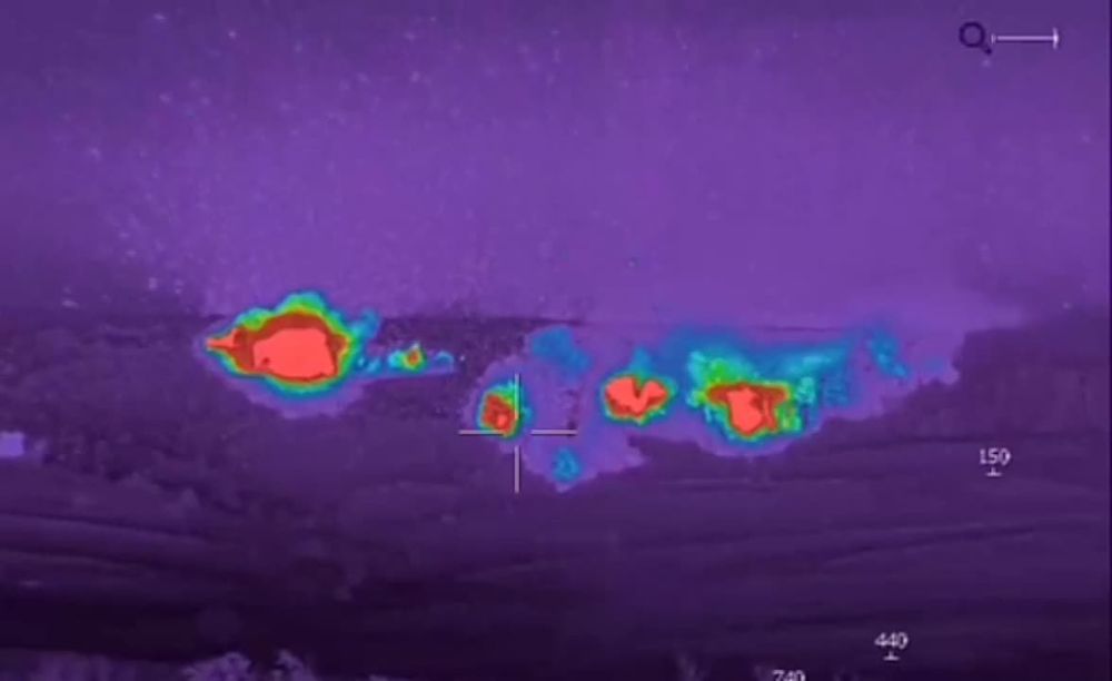 ���������, � ������� ����������� ������ ���������� ����� �� �������� ������������