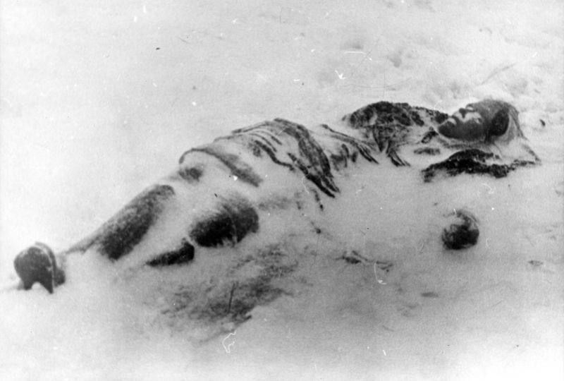 ���������� ������ ���� ��������� �������� ���������, ����������� ���������� ������� �����, ������������� ������� 1 ������� 1941 �. � �������� ����