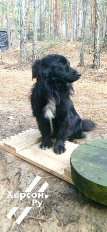 ���� ������ �������� ����� ������ ������ �� �����