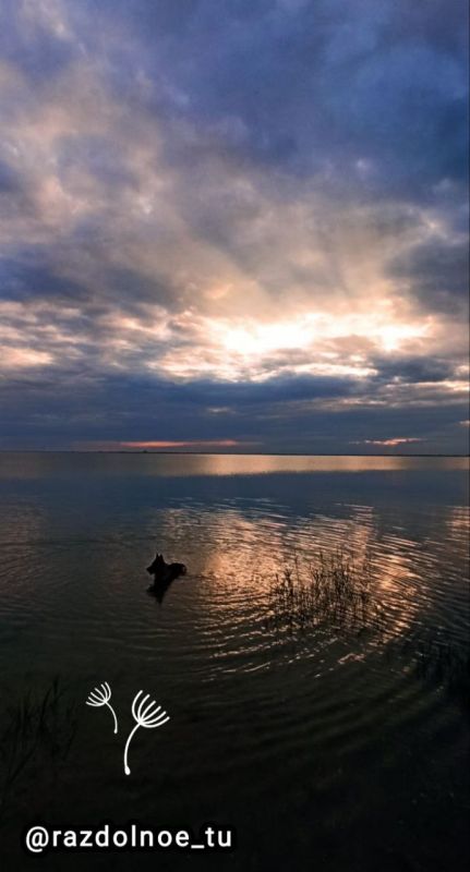 � ������ �����! ����������!