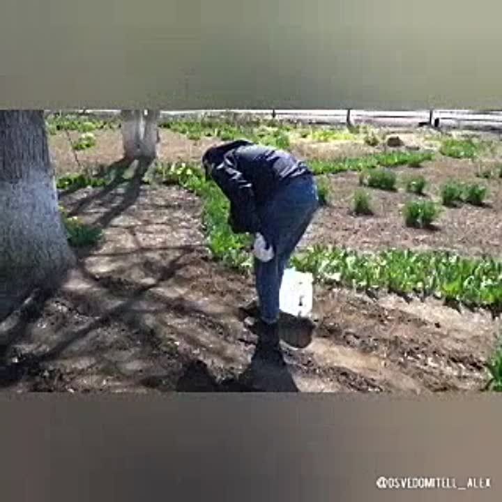 � ������ � ������� ������� � "������ ���� ����" ��������� ����������� - �������� �������� �����, �������, �������-������, � ����� �������� ����������� ����������� �������� �������� ����� � ��������� ����� �������� � ������