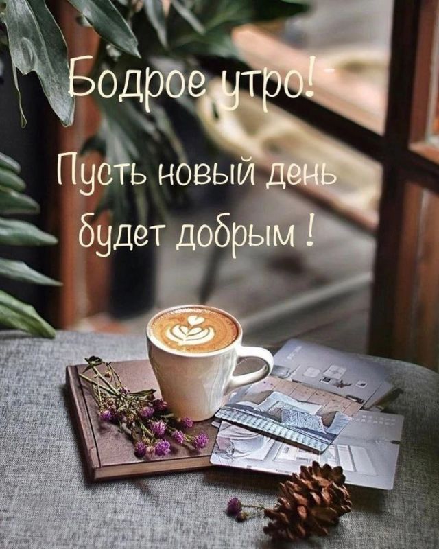 ������ ����. ������� � ������� ���� ���� ����� �������� - ����� ���� ������ ���� ����� ��� ������� � �� ������� ��� �� ������ ������. ��� �������. ����������� �� +8 ����� �� +23 ���