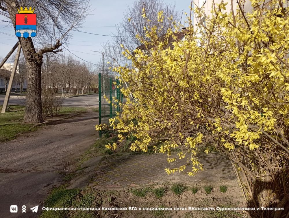 ������ ����, �������!. @VGA_Kakhovka