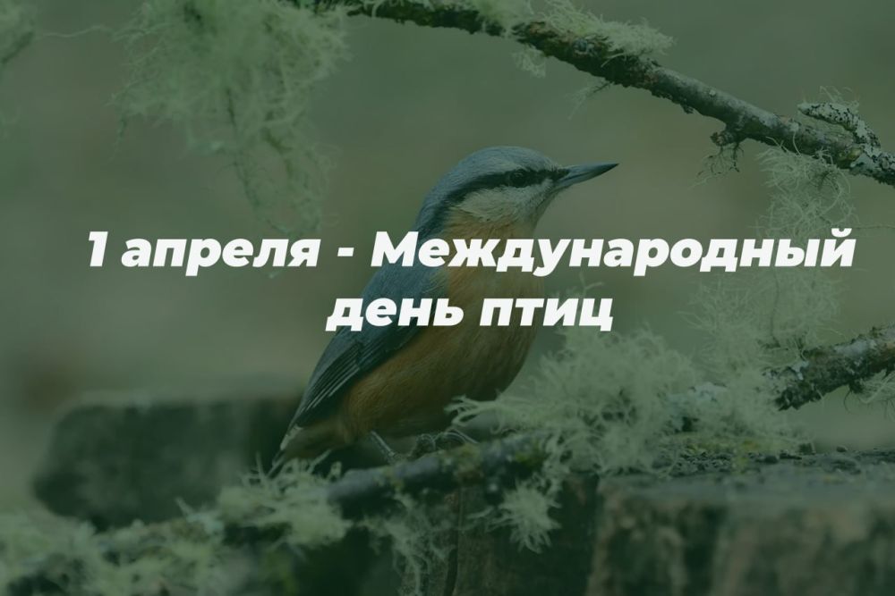 1 ������ � ������������� ���� ����