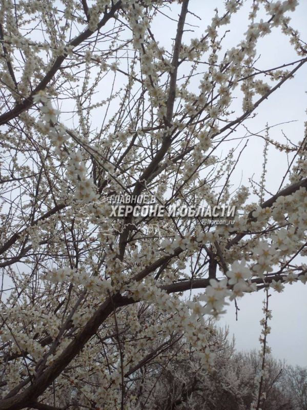 ���� ������� ������, ������ �� ���� � �� ���������� ����� ������ ������� �������