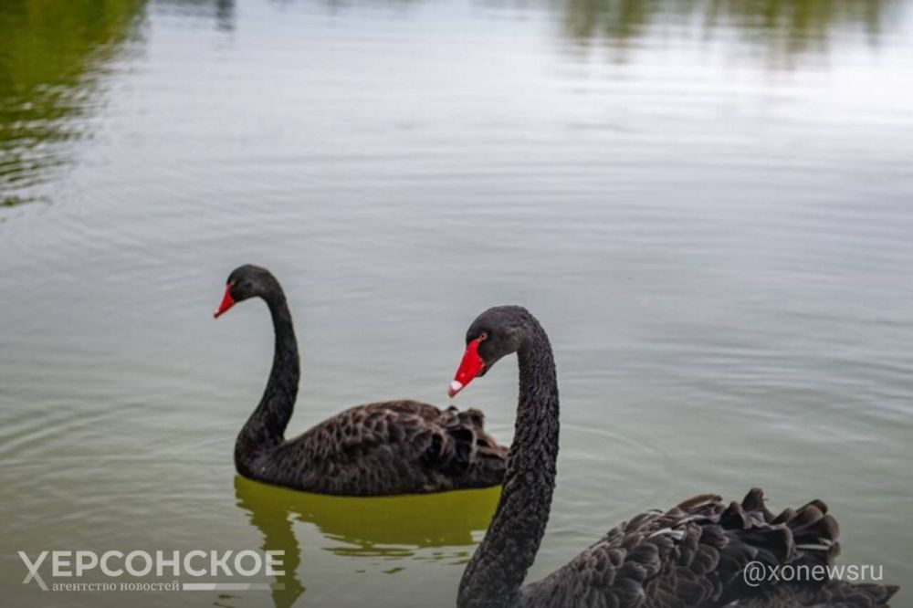 ���������� ������� ���������� � ������������� ��� ����