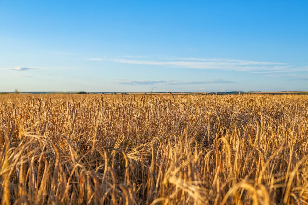 ���������� ������� ���������� �������������� ��������� ��������