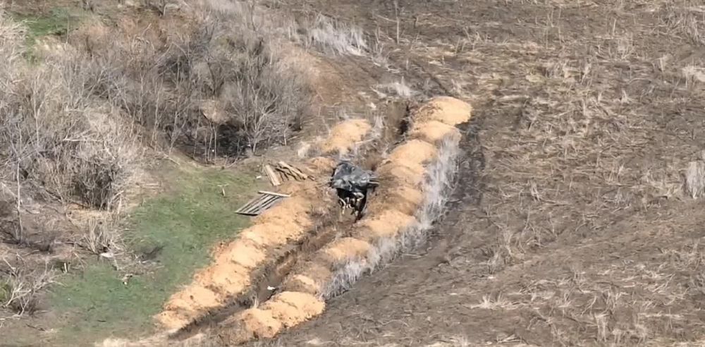 ���� ������ �������� ������ ���������� ��������