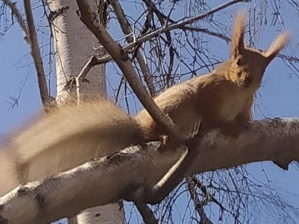 ����� ��������: ������� ������!. ������ ���������� ����� ����� � �������������� ������� ���� � ���������� �������������. ������ ���� ����� ���������, ��� ��� ����� ������� � ����� �� �����