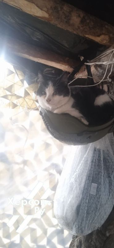 ������ ����, ������ �����. ����� ������� ����� ��� ������� ��������� ������ �������� ���� "������")))