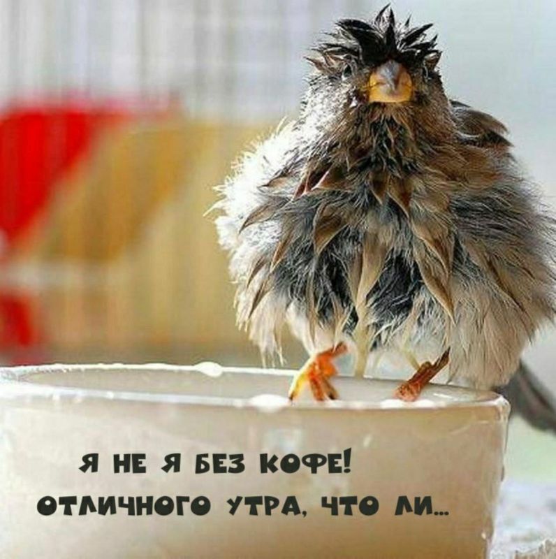 ���� ������ ���� ������������