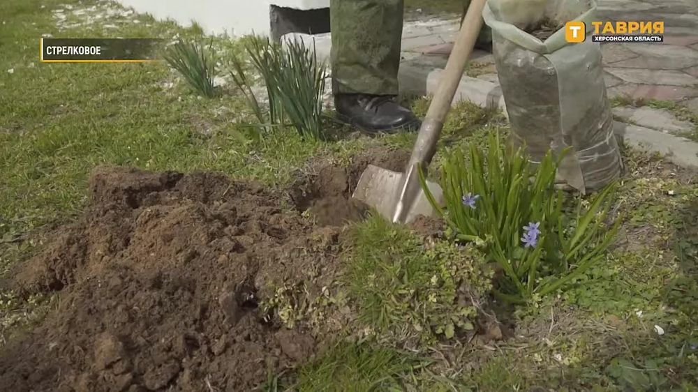 ���������� ������������� �������� ������� ��������� �� ���������� ���������, ������������ ������� ������������� �����