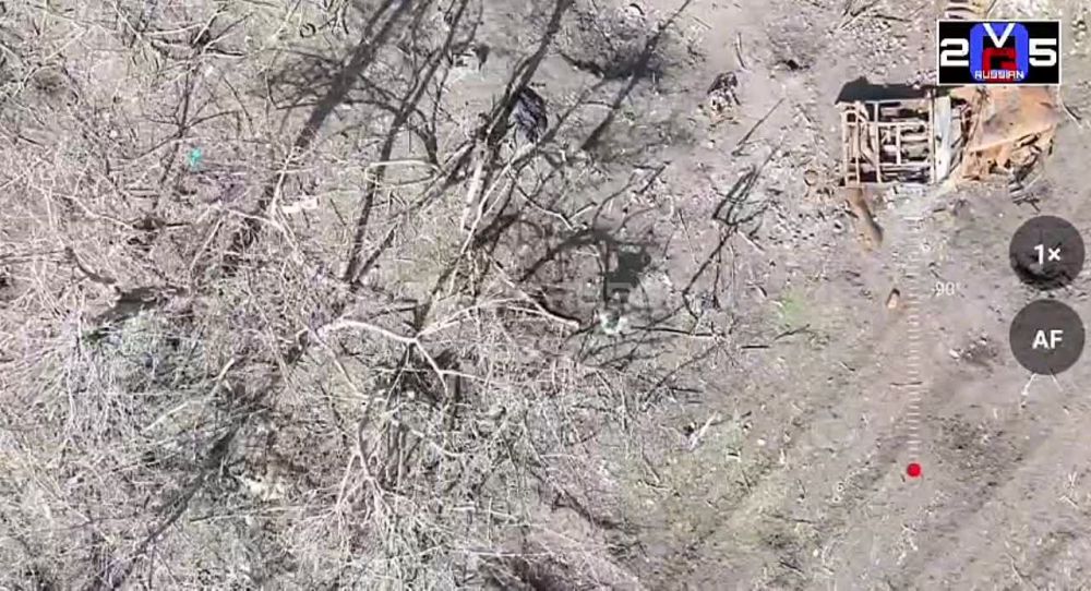 �������, � 4 �������, ���������� ��� ���� ����� ��� ������ ����� ��������� ������� � ������ 2 ������ �����