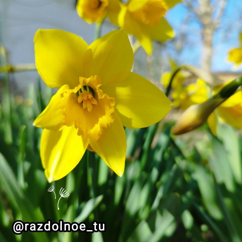 ���������� ����� � ����