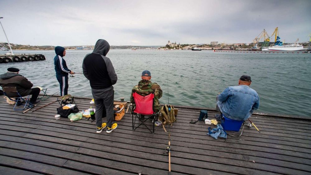 �������: ������������ ������ � ������� �������� ������� ������� � ����� ������