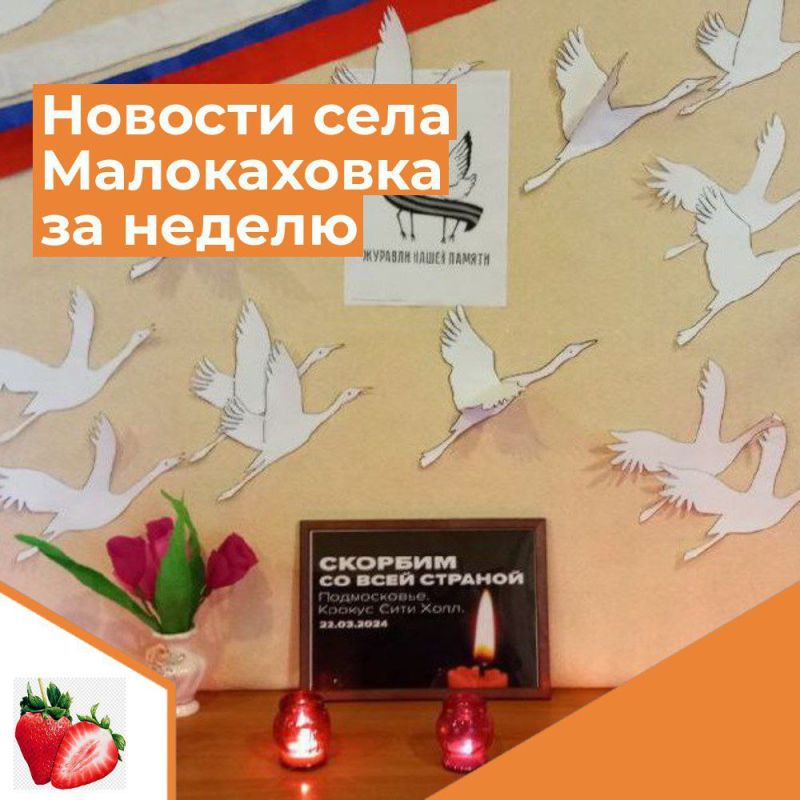 ������� ���� ����������� �� ������ � 25 �� 31 �����