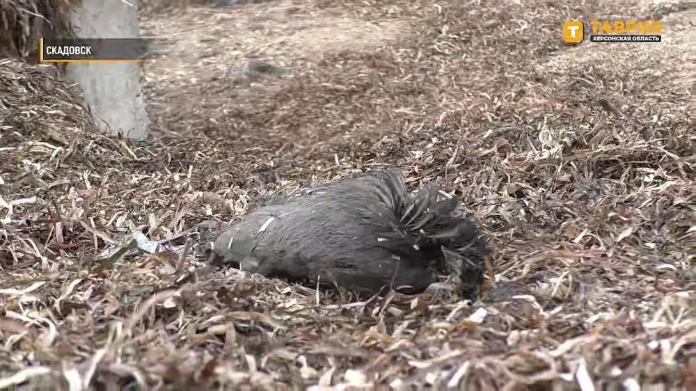 �������������� ��� "������" ����������, ��� ������ ���������� ������� ��������� � �������� ������