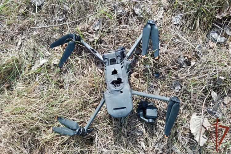 ������������ �� ����������� ������ �������� ��������� �������������� ����