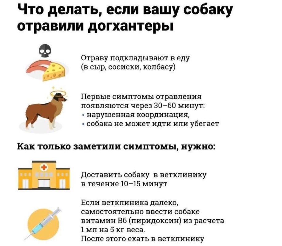 � ������� ������� � ��������� �������������: ����� ������� ������