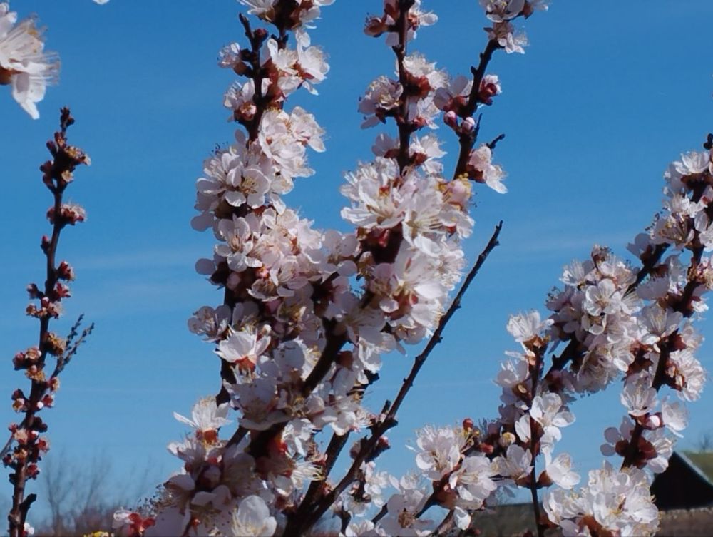 �������� ������ � ���������� ��������������� ����������