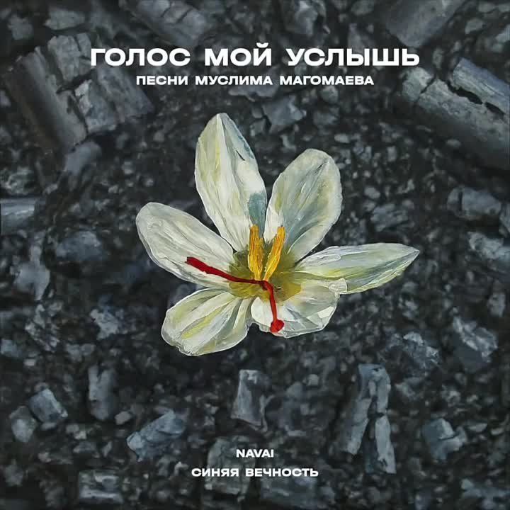 ������ ������ ��� ������� � ������� ������� ���������, � ����� �������� ��� ������ ������� ���� ����, �� ��� ��� ������ ����� 4 ��������� �������������