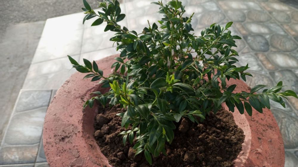 ���� ���������� � ������ ��� � ������������� �������������