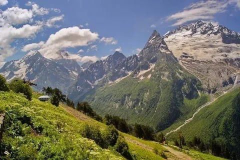 ������� ���������� ������� ������ �������� ���� � �������� � ������