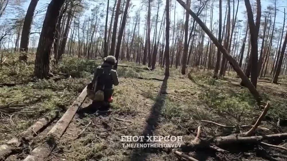 �������� ����� ����������� ����������� � ��������� ���� ��� ��������� 2023 ���