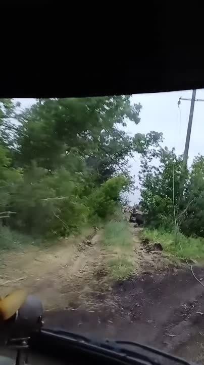 ��������� �������� �������� ������� � ���� ���