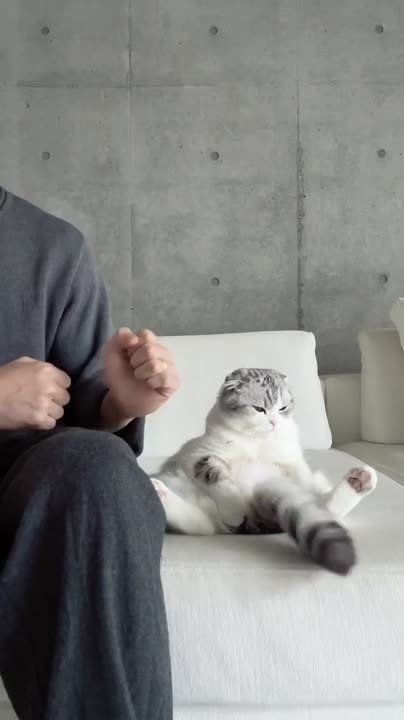 �� ���, ������, �������� ��� ����������?! ���� ���, �� ������ ������ "��������" � �������