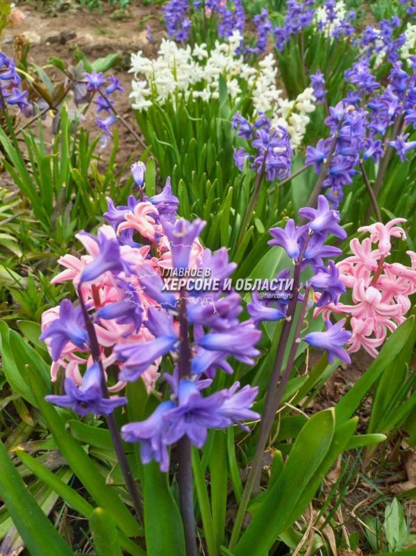 ��������, �������� � ���������� � ��������� ��������� ���������� �� ���� �������� �����