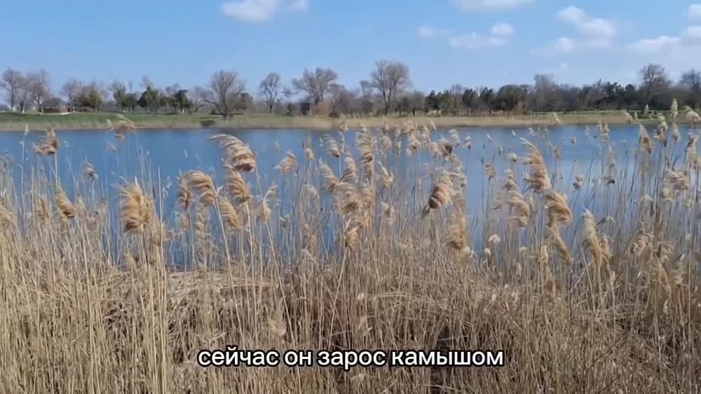 ��� �������� ����������� ������������� �� �������� ������������ �����!�