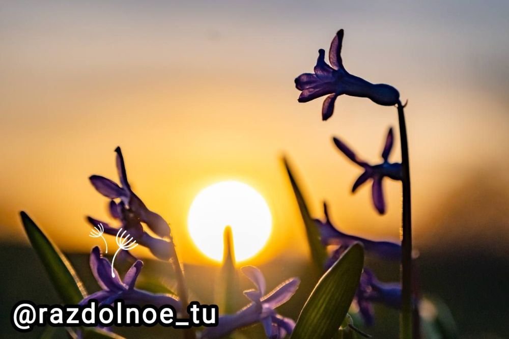 ���� ������� ������ �������������