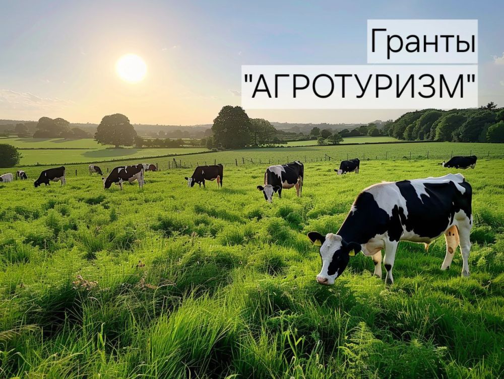 ������������ ����������������� ��������� � ����������������� �������� ���������� ������� ��������� � ���������� ����������� ������ �������� �������� ��������� ������� �� �������������� ������� �����������