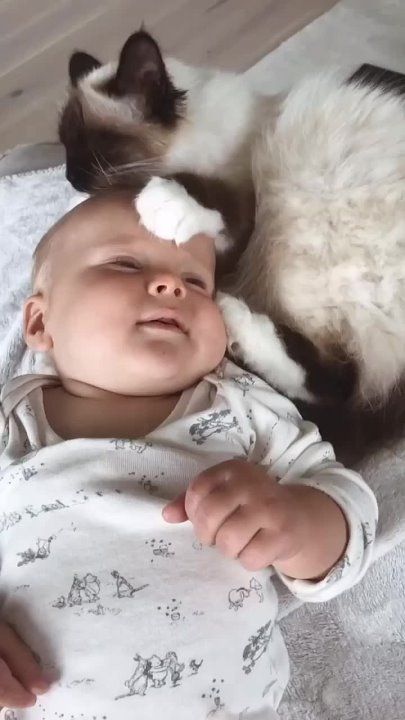 ������� ������ � ������ ����, ������!