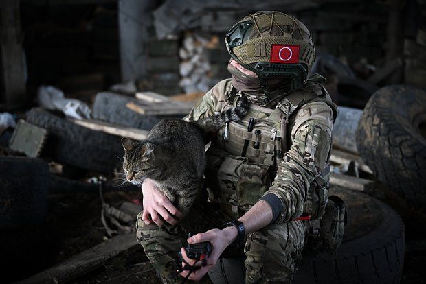 ���������� ������� ���������� ������������� ������ ��� ��� ����