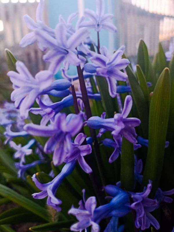 ������� �������� ������ �������������� ������������� � �����