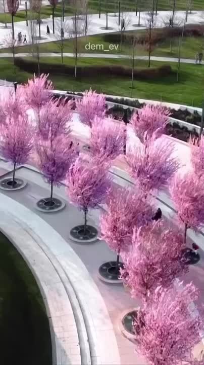 ! ���. � ������������� ����� ��������� �������� ����������� ����� �����