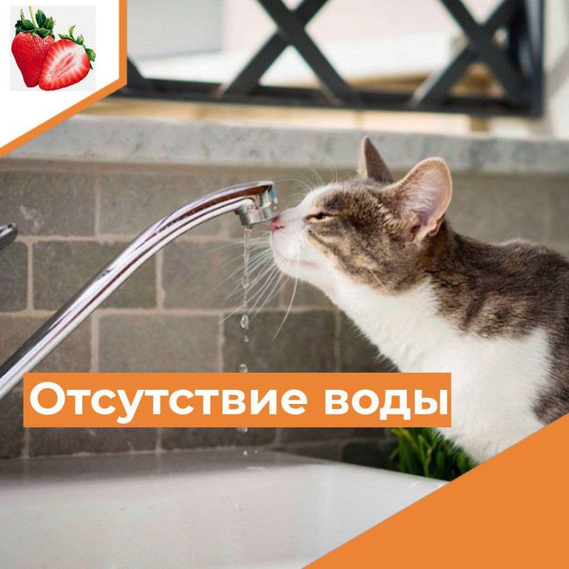 �������� ������� �������������� ��!