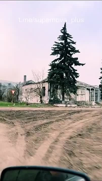 "������" ��������� ������������ ���