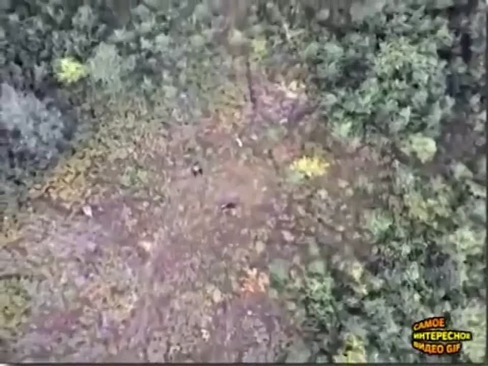 �� �������� ���������� �����